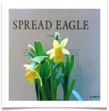 P1060230 Spring Menu - Carol Sparkes